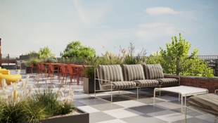 Thirty One Alfred Place